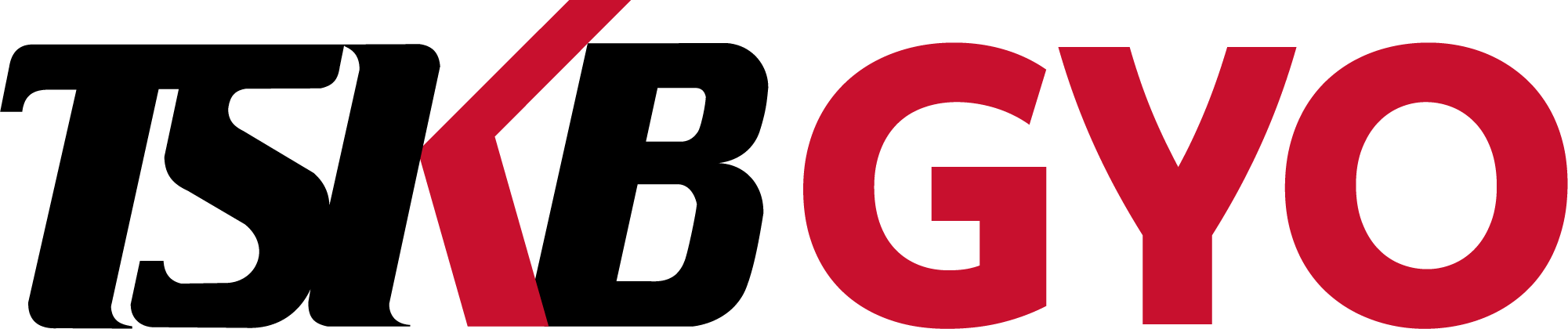 Tskb Logo